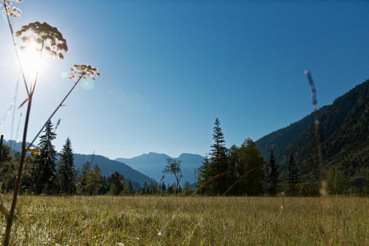 Alpen Gaestehaus 3*